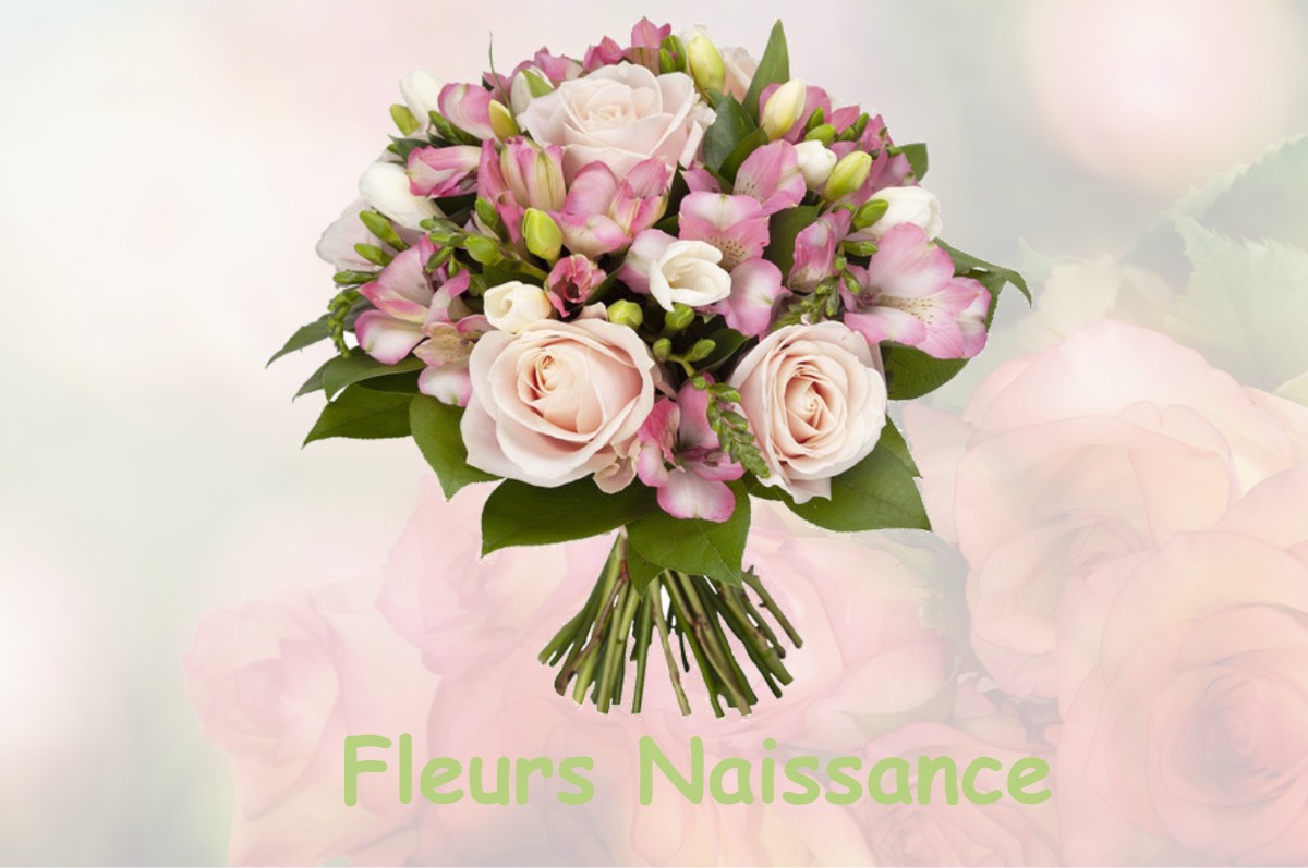 fleurs naissance SAINT-MAURICE-LES-BROUSSES
